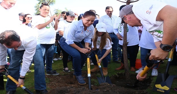 Voluntarios plantan 50 mil árboles en 12 puntos de Puebla capital