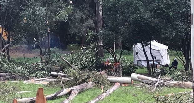 En Change.org, exigen a gobierno detener “ecocidio” en vivero de Forjadores