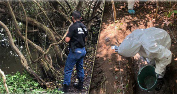 Hallan fosas clandestinas con al menos 166 cadáveres en Veracruz