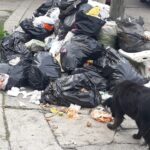 En Cuautlancingo no recolectan basura porque Casiano deja camiones inservibles
