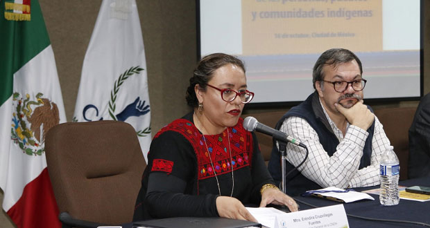 En México, 25 millones de indígenas están desprotegidos: CNDH