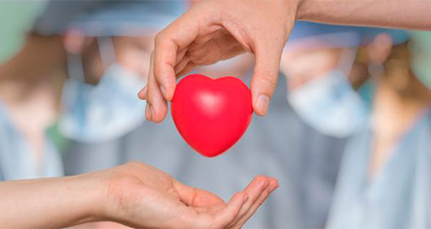 Necesario combatir mitos de donación de órganos en México: experta