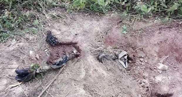 Hallan 19 cuerpos en fosas clandestinas en Lagos de Moreno, Jalisco