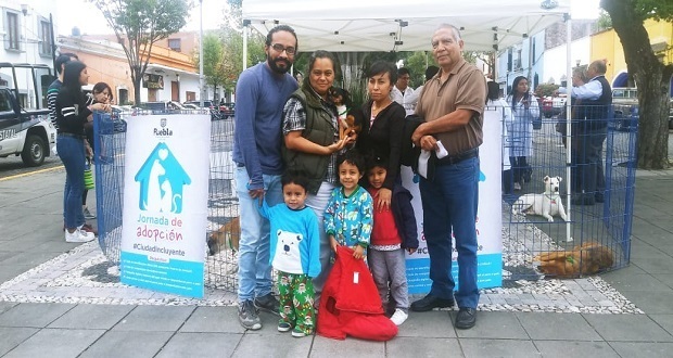 En Analco, ayuntamiento realiza jornadas de adopción de mascotas