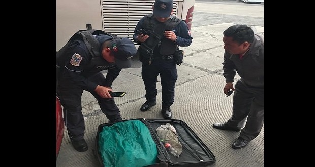 En 2 maletas abandonan 160 ejemplares de reptiles en la CAPU