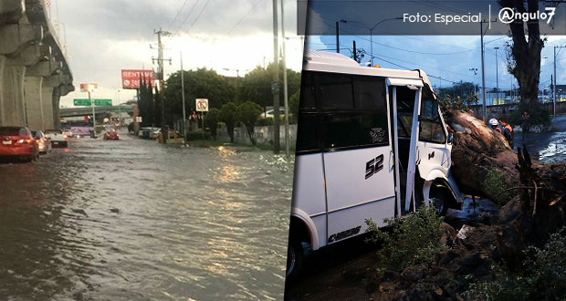 Caída de árboles e inundación de avenidas deja tromba en Puebla capital