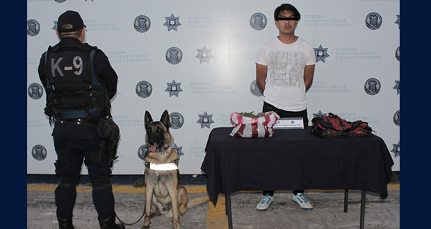 Ssptm detiene a uno por poseer 700 gramos de marihuana en CAPU