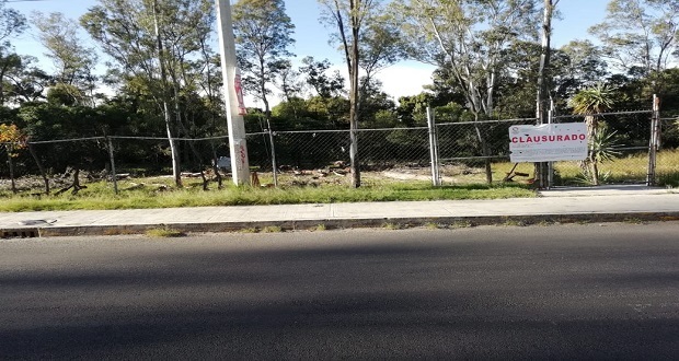 Violan sellos de clausura en vivero Santa Cruz; Srdsot denuncia penalmente