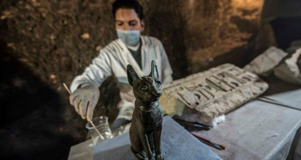 En Egipto, hallan momias de gatos y escarabajos de más de 4 mil años