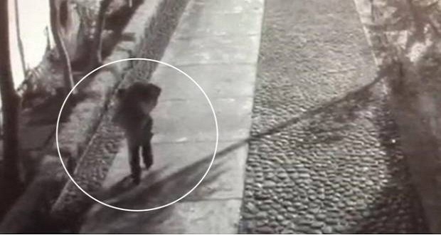 Captan abandono del cadáver de Ingrid Alison; asesina sería pareja