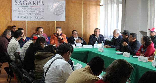 Sagarpa resalta importancia de proyectos para productores de Mixteca