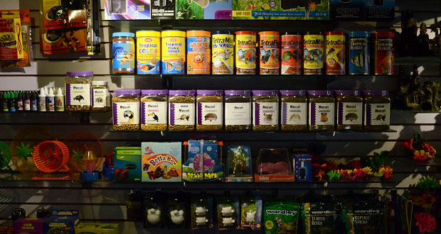 SCJN declara constitucional aplicar IVA a alimentos para mascotas