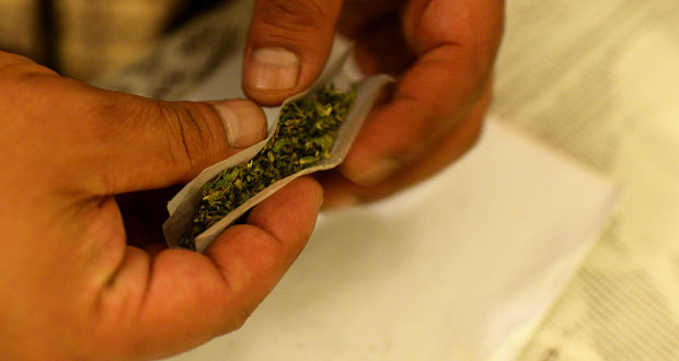 Morena en Senado propone ley para cultivo y comercio de mariguana