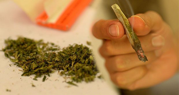Estas son las normas de la iniciativa para regular la mariguana