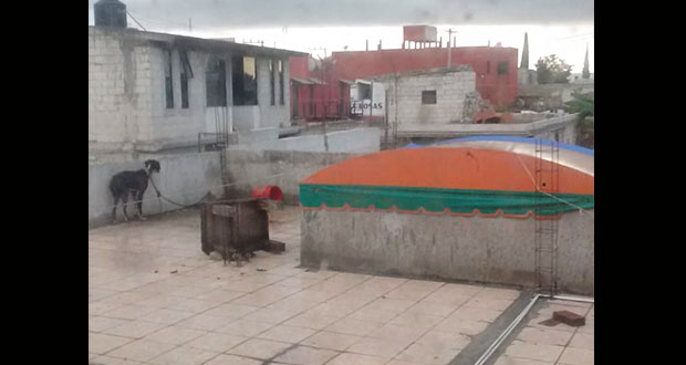 Acusan maltrato de dos perros en azotea de San Bernabé Temoxtitla