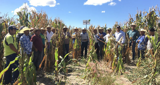 Agricultores de Ahuatempan tendrán préstamos de maquinaria