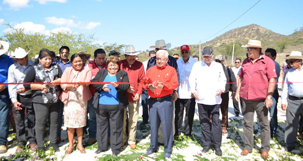 En Tecomatlán, inauguran pavimentación de carretera Yetla-Olomatlán
