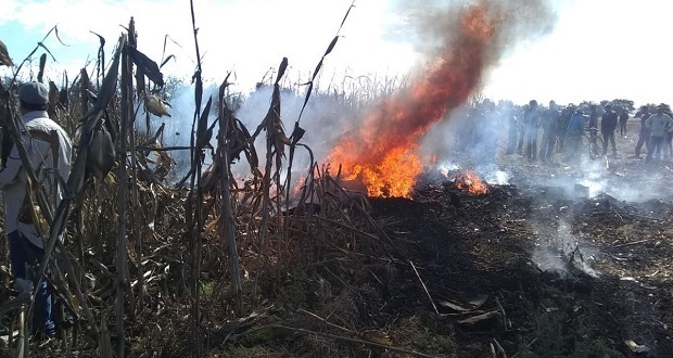 Se desploma avioneta en Coronango; reportan dos muertos