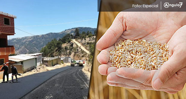 Subirían 127% recursos para carreteras y bajarían 51% en seguridad alimentaria
