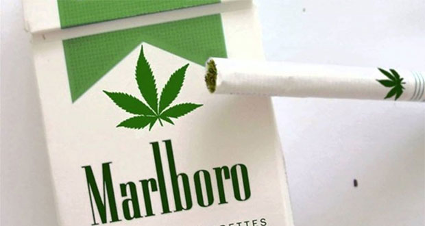 Marlboro le entra a la marihuana e invierte en compañía canadiense