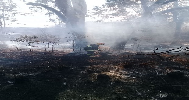 Sofocan incendio en pastizal cerca de la Central de Abasto