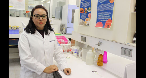 En BUAP, detectan bacterias en purificadoras de agua de Puebla