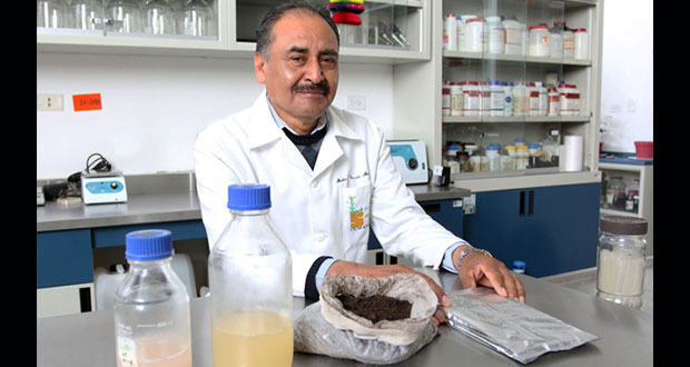 Investigadores de la BUAP crean acelerador para composta doméstica