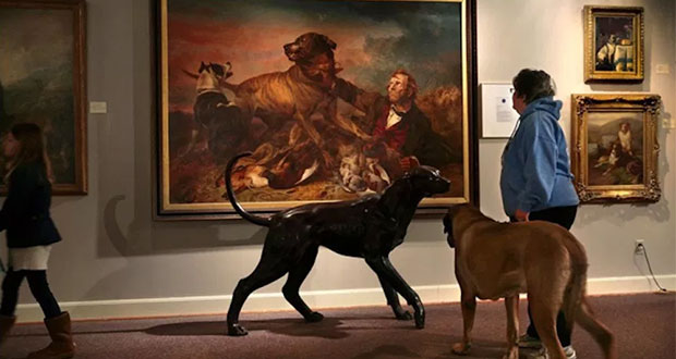 En Nueva York, habrá un museo dedicado a los perros
