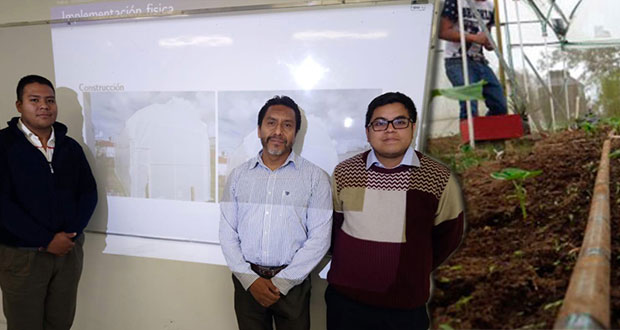 En la BUAP, desarrollan controles electrónicos para invernaderos