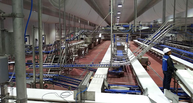 Granjas Carroll abre planta de procesamiento de carne en Oriental