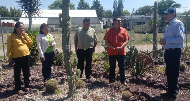 En Ahuatempan, campesinos reciben asesoría para producir cactáceas