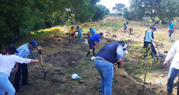Ceaspue reforesta predio en colonia Moratilla, cerca del Atoyac