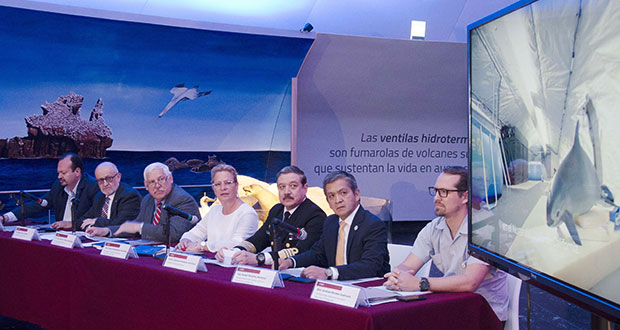 Gobierno de AMLO anuncia medidas para proteger a la vaquita marina