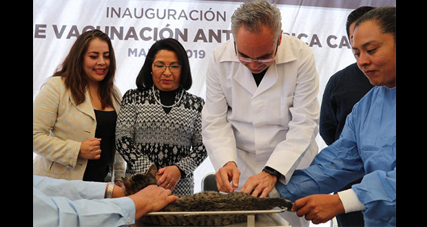 Inicia en Puebla semana de vacunación antirrábica canina y felina