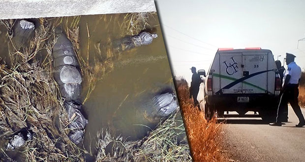 En Jalisco, hallan varios cuerpos embolsados en canal de desagüe