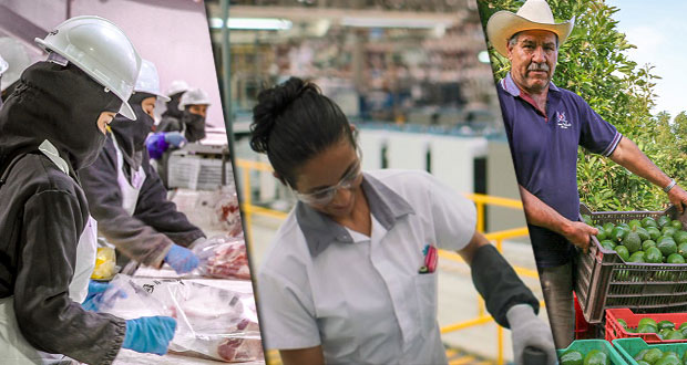 En octubre, actividad económica sube 4.8% a tasa anual