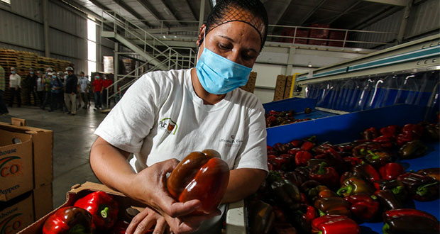 Gobierno ve potencial para clusterizar agroalimentos y textil en Puebla