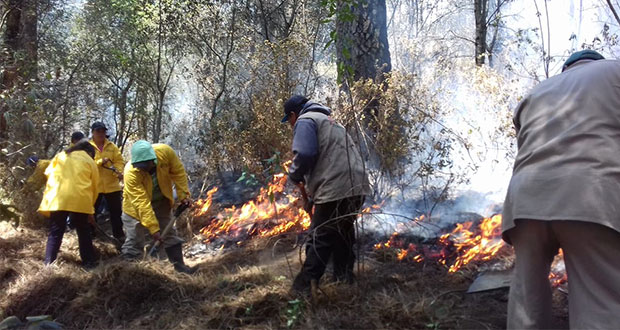 De 6 incendios en Puebla, 2 fueron sofocados y 4 controlados: PC