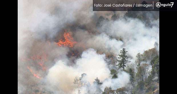 Puebla suma 2,711 hectáreas afectadas por incendios forestales; es 1er lugar