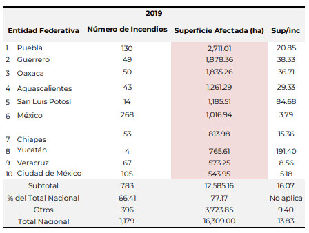Puebla suma 2,711 hectáreas afectadas por incendios forestales; es 1er lugar