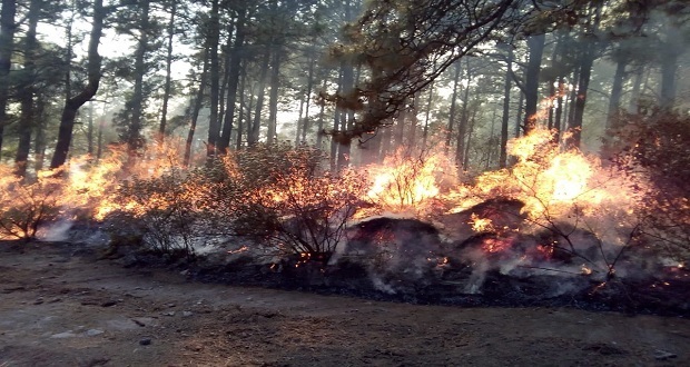 Tras 3 días, sofocan 1 de los 2 incendios forestales en La Malinche