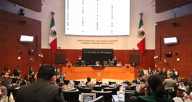 Designan a Josefina Román comisionada del INAI