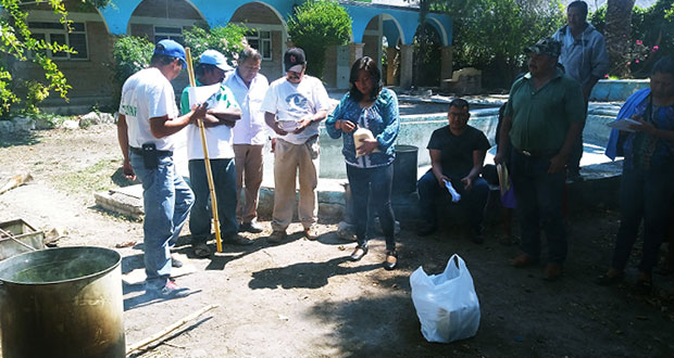 Atexcal capacita a agricultores para producir insecticida orgánico