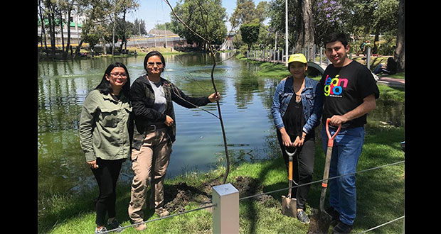 Da BUAP continuidad al programa de captación de CO2 “Adopta un árbol”