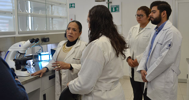 En BUAP, crean anticuerpo que ayudaría en tratamiento de cáncer gástrico