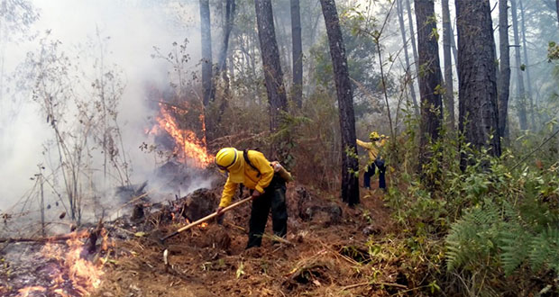 Brigadas liquidan 5 incendios forestales y atienden 7 en Puebla: PC