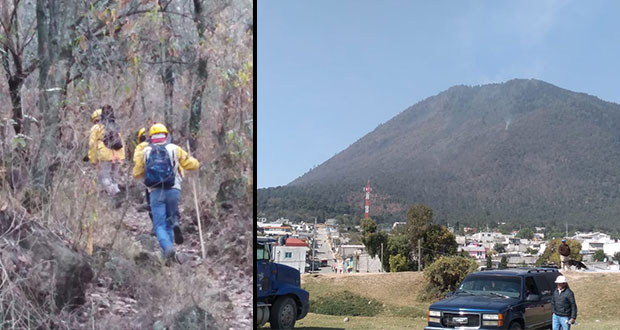 Brigadas trabajan para liquidar incendio forestal en cerro El Pinal