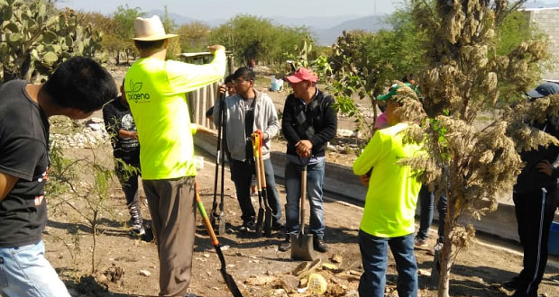 En Tehuacán, vecinos y asociación reforestan colonia popular