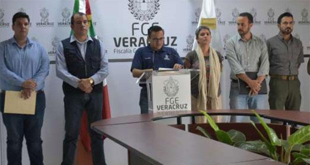 Hallan en Veracruz cementerio clandestino con al menos 36 fosas