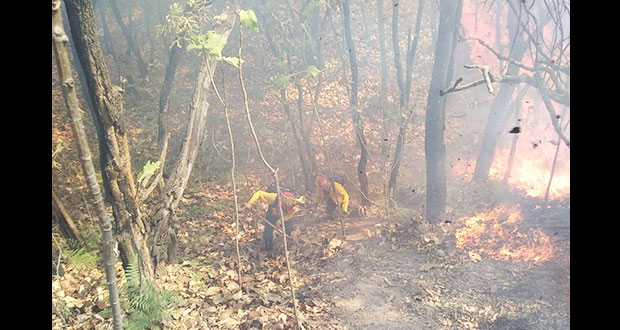 Afectan 72 incendios a bosques de Puebla y 15 estados; apagaron 22